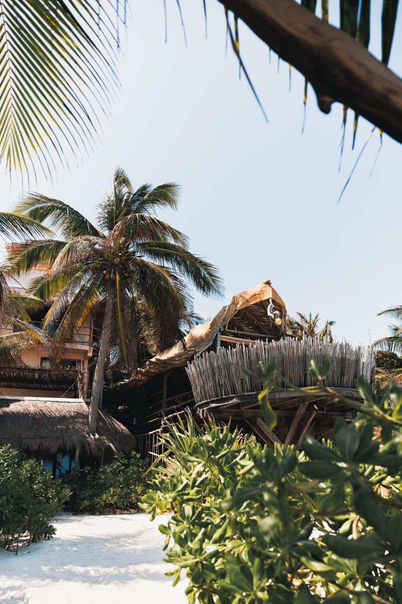 Orchid House Tulum Beach (Adults Only) Ngoại thất bức ảnh